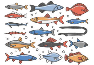 Graphic of multiple fish