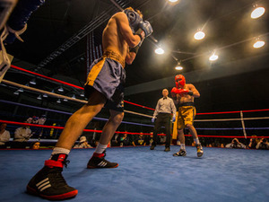 Bengal Bouts Enters 85th Year of Competition