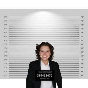 Libby's fake mugshot